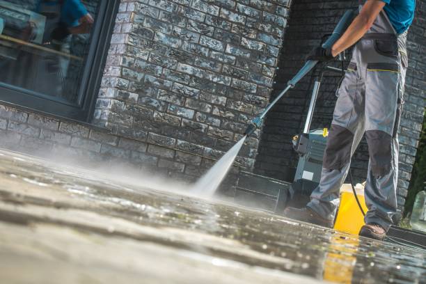 Best Graffiti Removal  in Fruita, CO